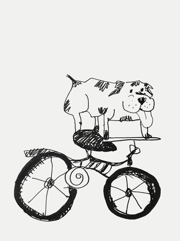 Black And White Dog GIF