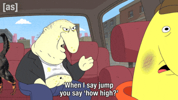 How High Point GIF by Adult Swim