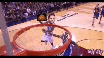dss  GIF