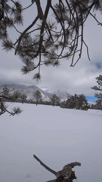 Flagstaff Residents Snowshoe Through Accumulation Left by Winter Storm