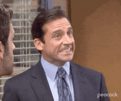 Season 4 Harrassment GIF by The Office