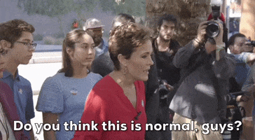 Election Day Lake GIF by GIPHY News