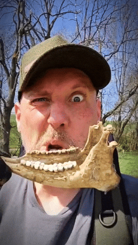 Nom Nom Nom Eating GIF by Detektorking