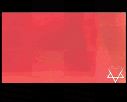 GIF by Brett A Mauri
