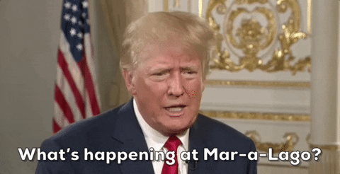 Maralago GIFs - Find & Share on GIPHY