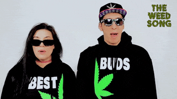 Best Buds Weed GIF by petey plastic