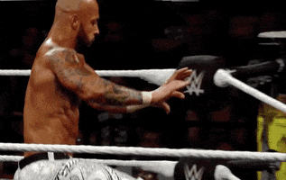 Flying Slow Motion GIF by WWE