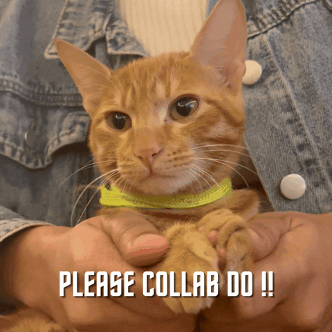 Cat Collab GIF by Beeglee