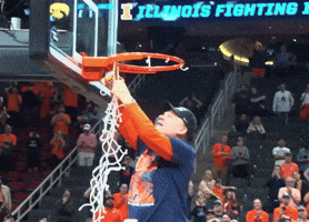 Illinois GIF