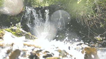 Falls GIF
