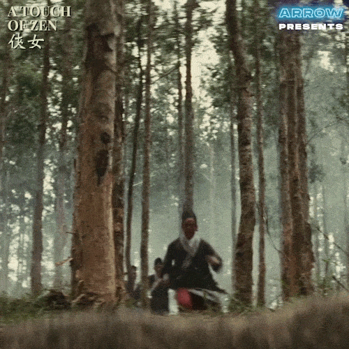 Martial Arts Fighting GIF by Arrow Video