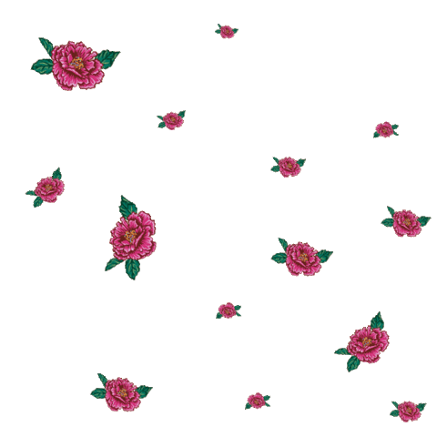 Bgbiancagibbon Sticker by BG