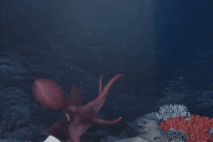 ink octopus GIF by Beyond Blue