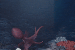 ink octopus GIF by Beyond Blue