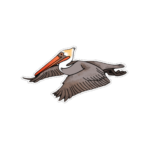 Bird Pelican Sticker by Parks Conservancy