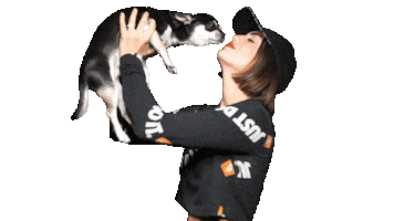 Cosifantutte Gallocchio Sticker by Carmine Ferriero MGMT