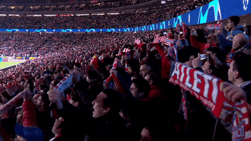 soccer sport GIF by Atlético de Madrid