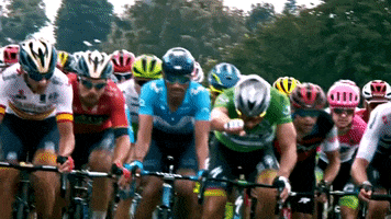 Le Tour Sport GIF by Le Tour de France