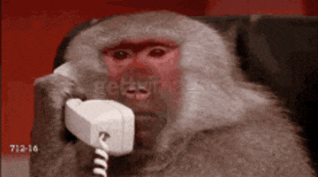 Phone Monkey GIF