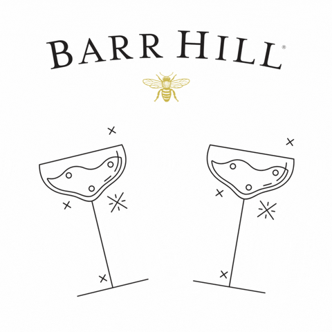 BarrHill cheers drinks cocktail gin GIF