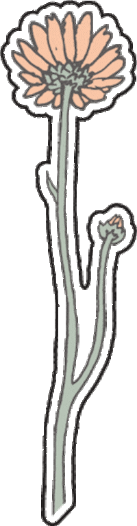 Flower Sticker by YOOLETTA