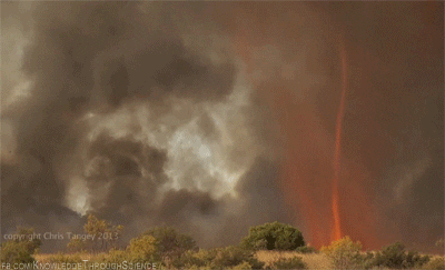 Image result for australian fire tornado gif