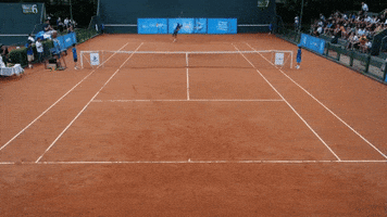 indiarafernanda  GIF