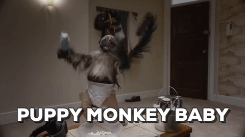 Puppy Monkey Baby Gifs Get The Best Gif On Giphy - roblox puppy monkey baby decal