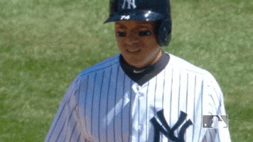 ronald torreyes yankees GIF by MLB