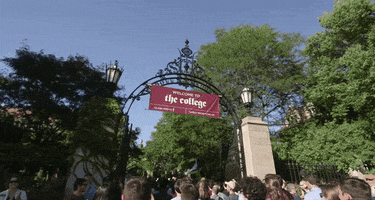 college GIF by The University of Chicago