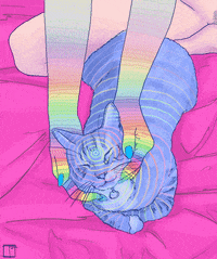 Cat Cuddles Gifs Get The Best Gif On Giphy Cat Cuddles Gifs Get The Best Gif On Giphy