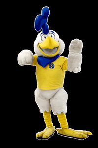 quique-new-holland-gallo-2uy0a0ss3JLPQQZzOG