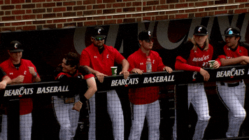 College Baseball Dancing GIF by Cincinnati Bearcats