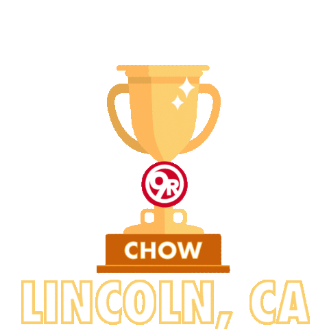 9 Round Lincoln, CA Sticker