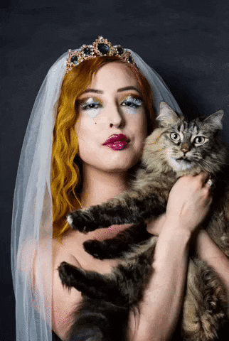 Eat The Rich Cat GIF by Chelsea Whitaker