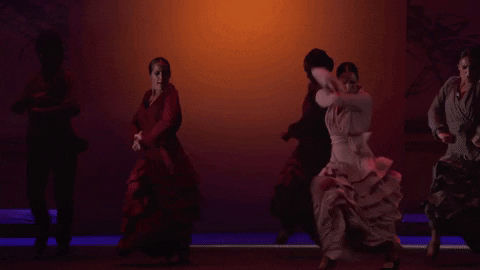 GIF by New York City Center