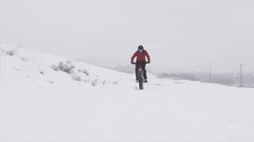 utah snow biking GIF by universityofutah