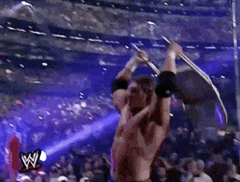triple h wrestling GIF by WWE