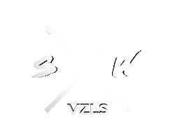 SouWa VZLS Sticker