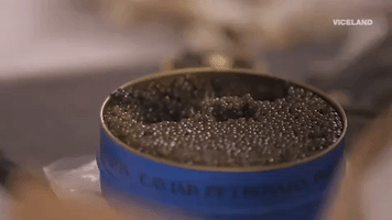 National Caviar Day GIF by F*CK, THAT'S DELICIOUS