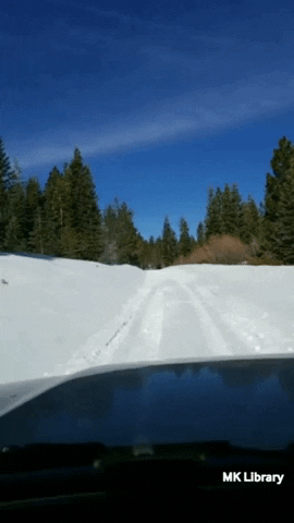 Road Trip Snow GIF