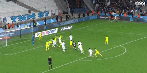 france om GIF by nss sports