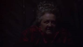 Susto GIF