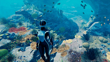 coral reef swimming GIF by Beyond Blue