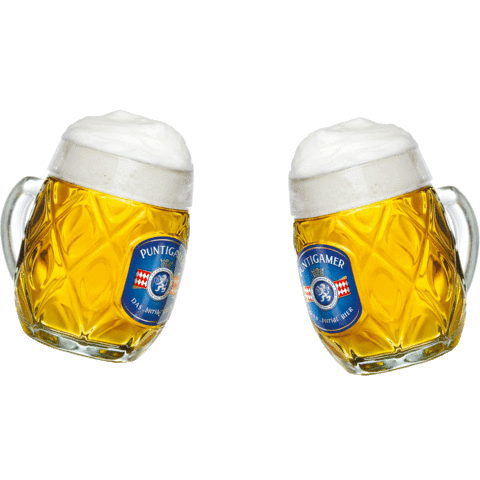 Sturm Graz Beer Sticker