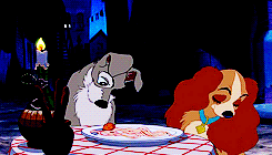 lady and the tramp