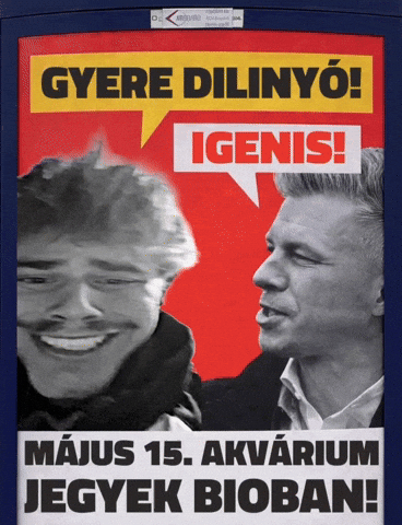 Akva GIF by Keddi Kosár