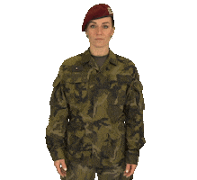 Armáda České republiky Sticker