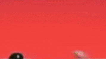 Heheh GIF