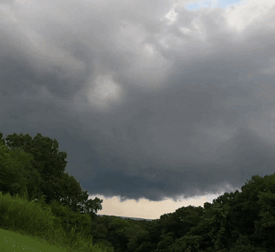 giphy.gif?cid=6c09b952vx467js3457597fvc6